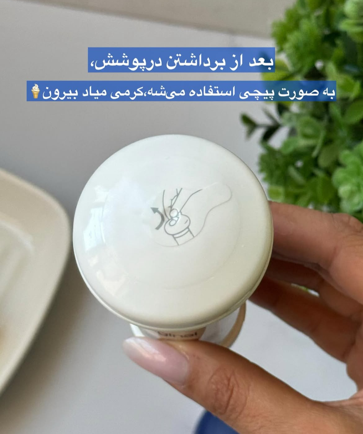 مام داو قارچی